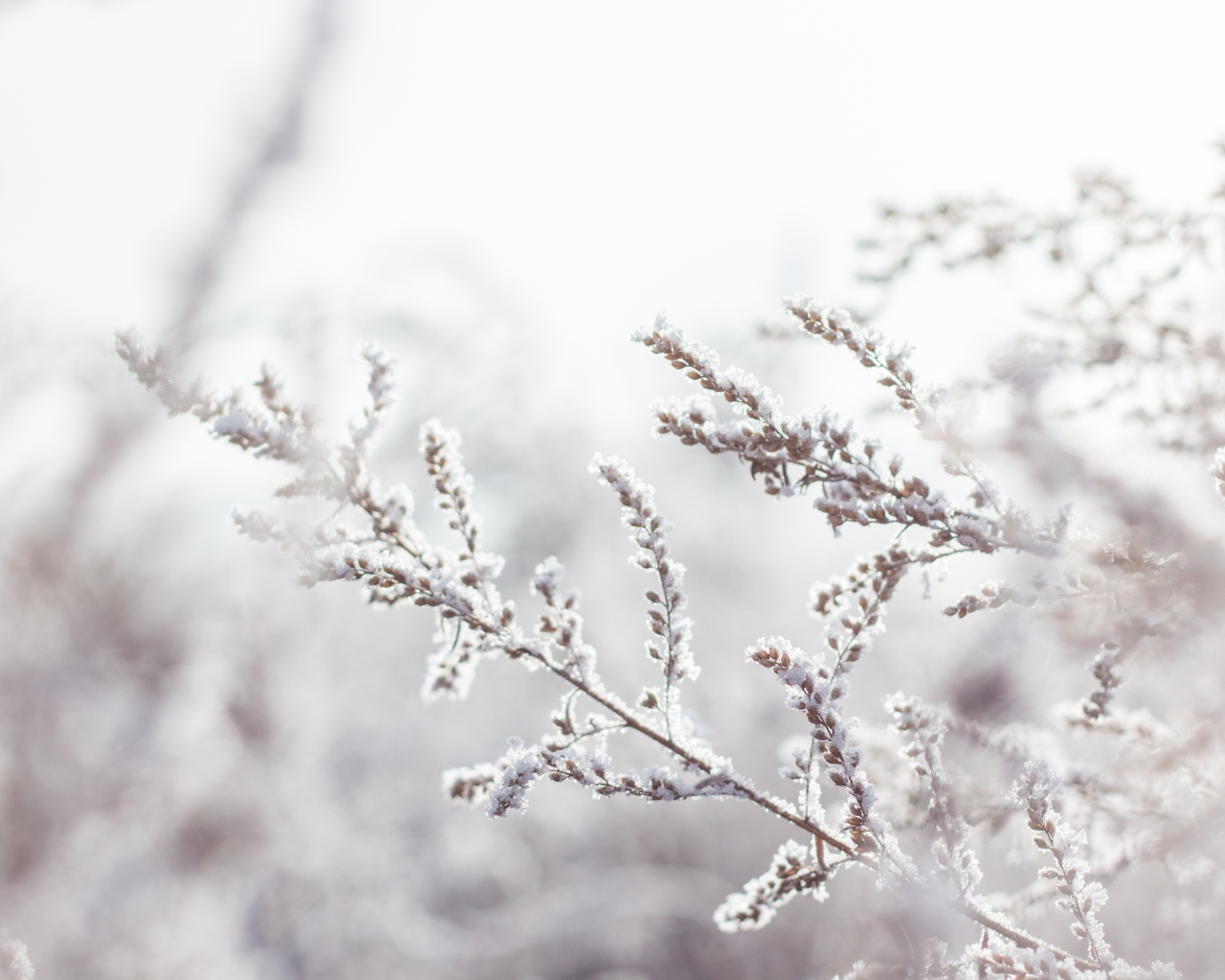 Schlafstörungen im Winter: Wie du die dunklen Monate für deinen Schlaf nutzt