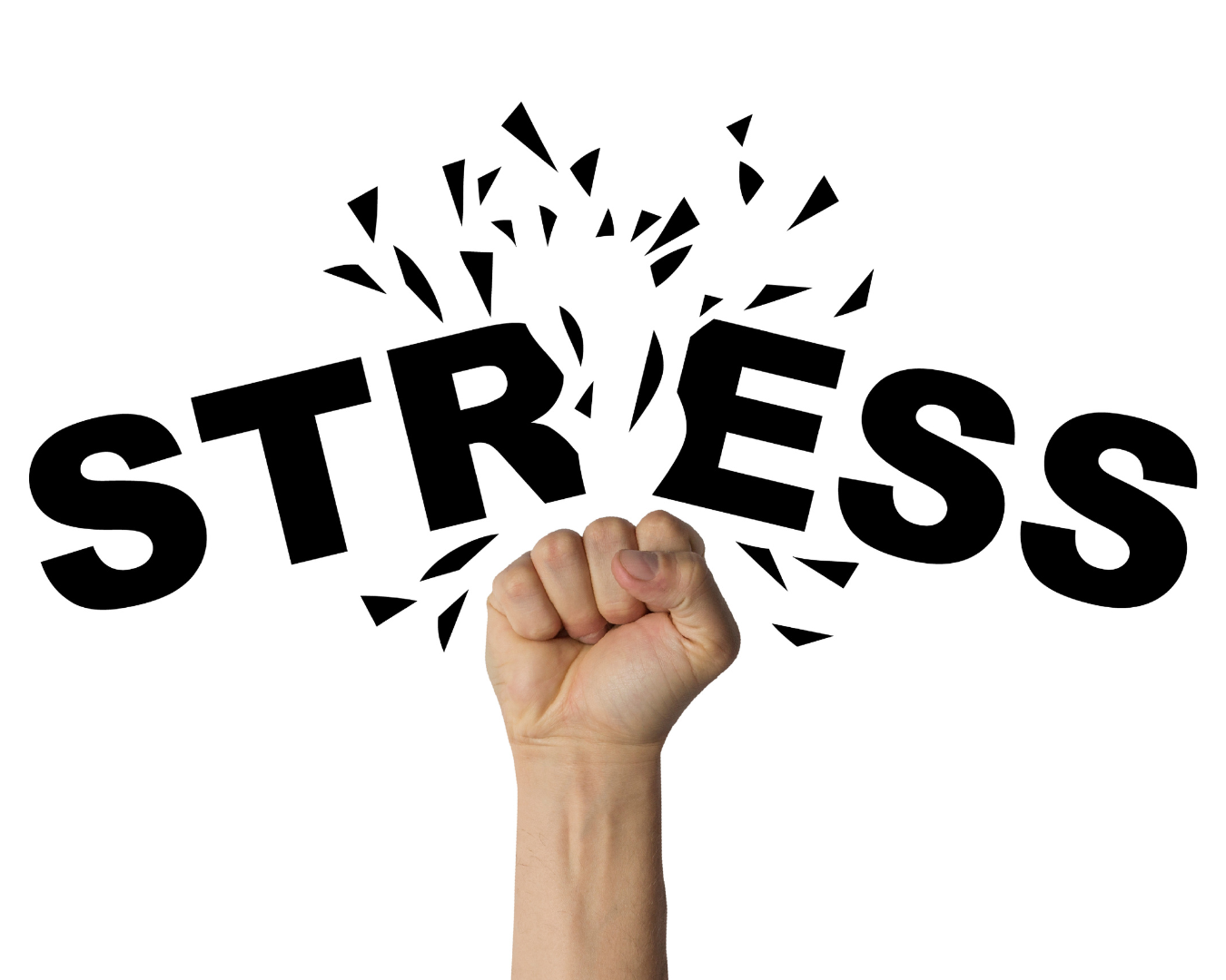 Wie Mikrogewohnheiten helfen, den Stress im Alltag zu reduzieren